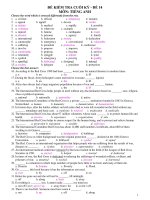 ĐỀ KIỂM TRA CUỐI KỲ - ĐỀ 14 MÔN: TIẾNG ANH docx