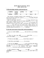 ĐỀ ÔN THI TN NĂM 2011 – ĐỀ 14 MÔN: TIẾNG ANH potx