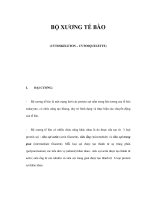 BỘ XƯƠNG TẾ BÀO(CYTOSKELETON – CYTOSQUELETTE) docx