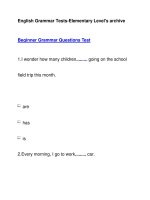 English Grammar Tests-Elementary Level''''s archiveBeginner Grammar Questions Test1 pdf