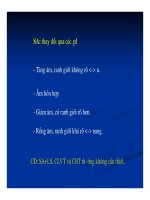 Chẩn doán hình ảnh : Gan - Mật part 8 ppt