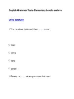 English Grammar Tests-Elementary Level''''s archiveDrive carefully docx
