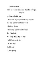 Giáo án tin học 9 - Tiết 43 : Thực hành các thao tác với tệp tin (T1) pptx