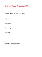 Anh văn Basic Grammar-036 potx