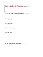 Anh văn Basic Grammar-023 ppsx