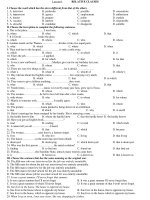 Lesson 6: RELATIVE CLAUSES doc