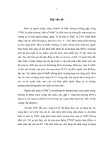 Mô tả triệu chứng lâm sàng và chẩn đoán hình ảnh máu tụ NMC không mổ do chấn thương  đánh giá kết quả điều trị bảo tồn máu tụ NMC (kết quả gần và kết quả xa)