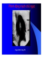 Thực hành x quang tim mạch part 10 ppt