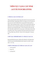 VIÊM TỤY TẠNG CẤP TÍNH (ACUTE PANCREATITIS) docx