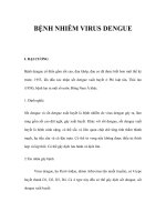 BỆNH NHIỄM VIRUS DENGUE pdf