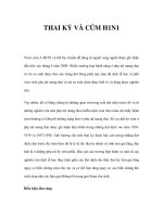 THAI KỲ VÀ CÚM H1N1 pptx