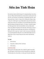 Siêu âm Tinh Hoàn pot