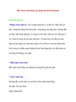 Giáo dục đặc biệt: Bắt chước hoạt động vận động thô khi đang đứng pptx