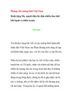 Phỏng vấn tướng lĩnh Việt Nam ppt