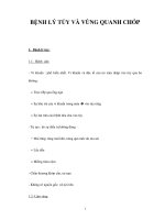 BỆNH LÝ TỦY VÀ VÙNG QUANH CHÓP pot