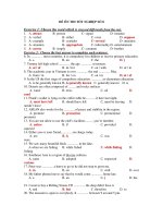 ĐỀ ÔN THI TỐT NGHIỆP SỐ 8 docx