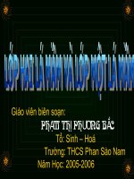 bài giảng sinh học lớp 6 lớp một lá mầm và lớp hai lá mầm