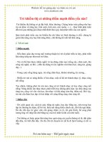 Giáo án cho trẻ khiếm thị: Trẻ khiếm thị có những điểm mạnh điểm yếu nào? ppt