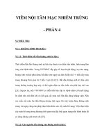 VIÊM NỘI TÂM MẠC NHIỄM TRÙNG - PHẦN 4 pot