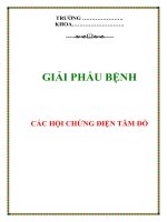 CÁC HỘI CHỨNG ĐIỆN TÂM ĐỒ ppt