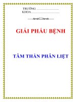 TÂM THẦN PHÂN LIỆT pdf