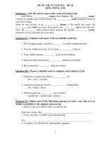 ĐỀ ÔN THI TN NĂM 2011 – ĐỀ 28 MÔN: TIẾNG ANH pot