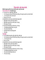 Cây cảnh, cây hoa cảnh part 1 docx