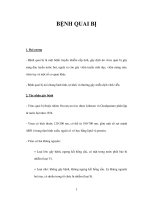 BỆNH QUAI BỊ doc