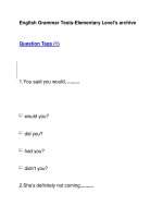 English Grammar Tests-Elementary Level''''s archiveQuestion Tags (1) ppsx