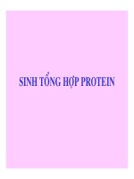 CÁC QUÁ TRÌNH SINH HỌC Ở MỨC PHÂN TỬ part 7 docx