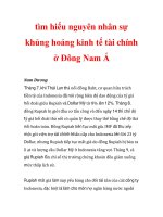 tìm hiểu nguyên nhân sự khủng hoảng kinh tế tài chính ở Đông Nam Á_3 pot