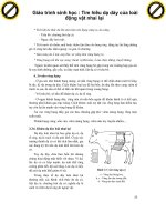 Giáo trình sinh học : Tìm hiểu dạ dày của loài động vật nhai lại phần 1 ppt