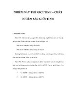 NHIỄM SẮC THỂ GIƠI TÍNH – CHẤT NHIỄM SẮC GIỚI TÍNH pot