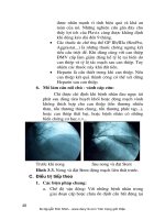 Thực hành bệnh tim mạch part 2 doc