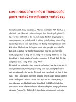 CON ĐƯỜNG CỨU NƯỚC Ở TRUNG QUỐC (GIỮA TK XIX ĐẾN GIỬA TK XX) docx