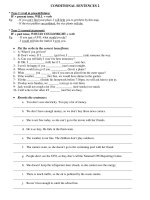 CONDITIONAL SENTENCES 2 docx