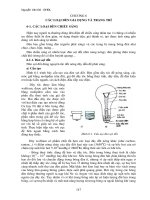 CHƯƠNG 6 CÁC LOẠI ĐÈN GIA DỤNG VÀ TRANG TRÍ pdf