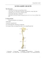 XƯƠNG KHỚP CHI DƯỚI pot