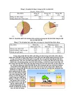 Sinh thái học nông nghiệp : Hệ sinh thái part 4 doc
