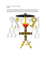 Các hiệp sĩ Teuton (Teutonic Knight) doc