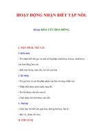 Đề tài HOA CÚC HOA HỒNG pps