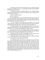 Giáo trình Công nghệ Protein part 9 doc