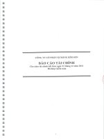 CÔNG TY cổ PHẦN xi măng bỉm sơn báo cáo tài chính đã được kiểm toán cho năm tài chính kết thúc 31 tháng 12 năm 2011