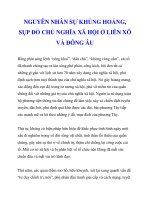 NGUYÊN NHÂN SỰ KHỦNG HOẢNG, SỤP ĐỔ CHỦ NGHĨA XÃ HỘI Ở LIÊN XÔ VÀ ĐÔNG ÂU_2 pot