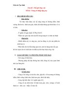 Giáo án chương trình đổi mới Đề tài : Trang trí thiệp tặng mẹ doc