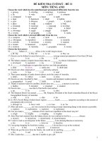 ĐỀ KIỂM TRA CUỐI KỲ - ĐỀ 11 MÔN: TIẾNG ANH ppsx