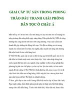 GIAI CẤP TƯ SẢN TRONG PHONG TRÀO ĐẤU TRANH GIẢI PHÓNG DÂN TỘC Ở CHÂU Á_2 pot