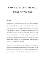 K NỘI MẠC TỬ CUNG SAU PHẪU THUẬT CẮT NỘI MẠC ppt