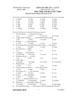 KIỂM TRA HỌC KỲ I – LẦN II Năm học 2010 - 2011 Môn: Tiếng Anh lớp 12 pps