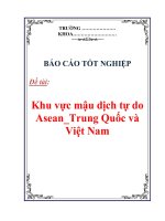 Báo cáo tốt nghiệp: Khu vực mậu dịch tự do Asean_Trung Quốc và Việt Nam doc